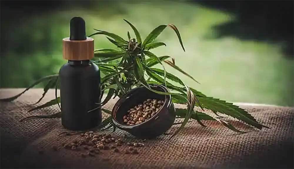 cbd extract and canabis big