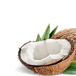 Кокос, чието масло се ползва като добавка в балсама за устни с допълнение на марихуана - Pure For Life