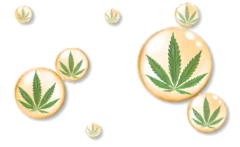 малки капки марихуанено олио с пълен спектър на CBD терпените в него и листа канабис в тях