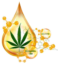 Капка олио от марихуана в оранжев цвят със зелено листо от канабис и до нея още две капки с надписи CBD и THC на тях и химическите им формули.