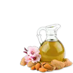almond oil, a component of CBD massage oil.