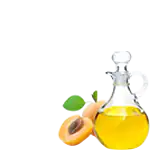 apricot extract, ingredient of massage oil with CBD.