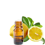 Лимонен - една от съставките на олио за масаж с коноп Pure For Life